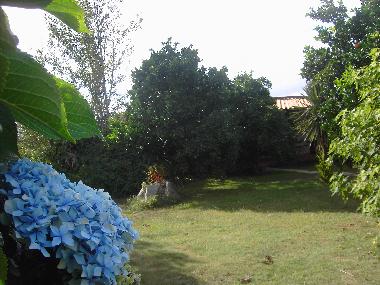 Villa in Ponte de Lima (Norte) oder Ferienwohnung oder Ferienhaus