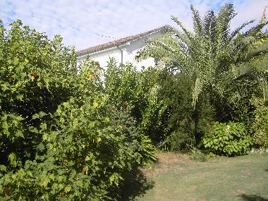 Villa in Ponte de Lima (Norte) oder Ferienwohnung oder Ferienhaus