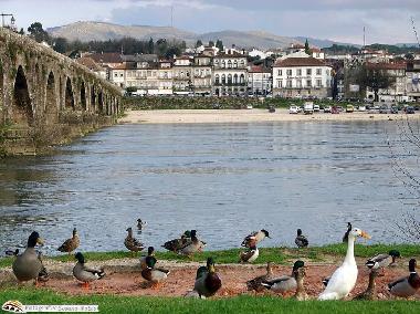 Villa in Ponte de Lima (Norte) oder Ferienwohnung oder Ferienhaus