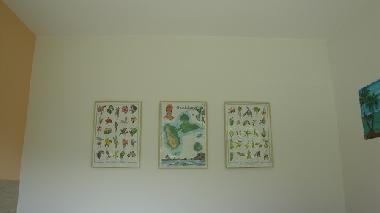 Ferienwohnung in deshaies (Guadeloupe) oder Ferienwohnung oder Ferienhaus