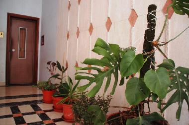 Ferienwohnung in Rome (Rom) oder Ferienwohnung oder Ferienhaus