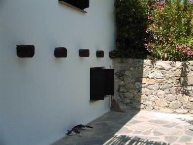 Ferienhaus in Stavrohori (Lasithi) oder Ferienwohnung oder Ferienhaus