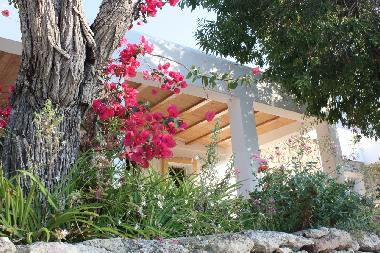 Villa in Cala Llonga (Formentera) oder Ferienwohnung oder Ferienhaus