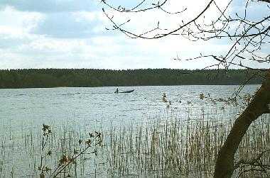 Boot in Rheinsberg (Ostprignitz-Ruppin) oder Ferienwohnung oder Ferienhaus