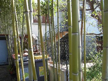 Ferienwohnung in montpellier (H�rault) oder Ferienwohnung oder Ferienhaus