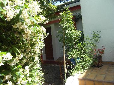 Ferienwohnung in montpellier (H�rault) oder Ferienwohnung oder Ferienhaus