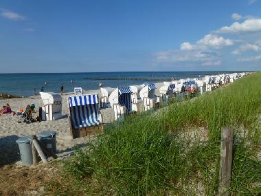 Strandleben am Strand�bergang 9