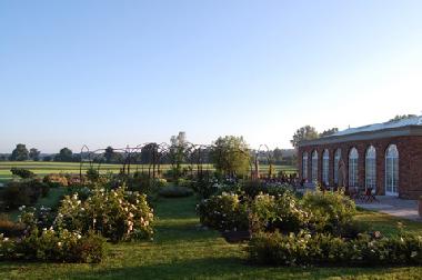 Rosengarten vor Orangerie