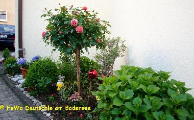 Der Eingangsbereich und die Gartenanlage rund ums Haus wird liebevoll gepflegt.
