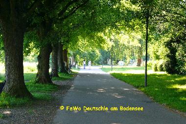 Die Uferpromenade - stl. Uferstrae - ld zu schnen Spaziergngen ein.