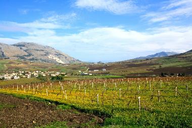 Villa in Buseto palizzolo (Trapani) oder Ferienwohnung oder Ferienhaus
