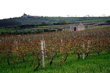 Villa in Buseto palizzolo (Trapani) oder Ferienwohnung oder Ferienhaus