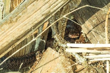 Ferienhaus in Uherce Mineralne (Podkarpackie) oder Ferienwohnung oder Ferienhaus