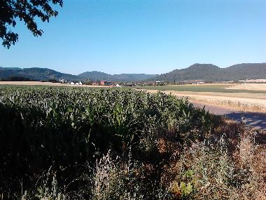 Stadtrand Langelsheim