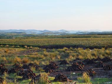 Ferienhaus in Newport (Mayo) oder Ferienwohnung oder Ferienhaus