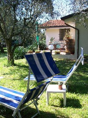 Ferienwohnung in Pozzi di Seravezza (Lucca) oder Ferienwohnung oder Ferienhaus