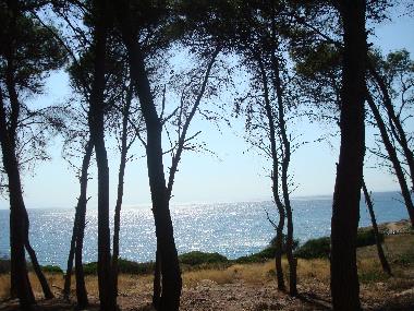 Villa in Leporano Marina (Taranto) oder Ferienwohnung oder Ferienhaus