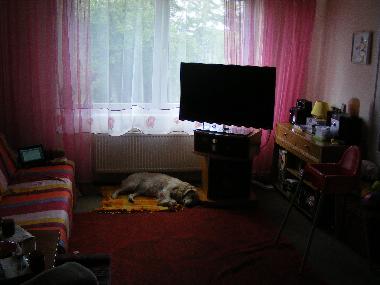 Ferienwohnung in Insko (Zachodniopomorskie) oder Ferienwohnung oder Ferienhaus