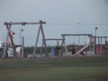 Ferienhaus in Dornum (Nordsee-Festland / Ostfriesland) oder Ferienwohnung oder Ferienhaus