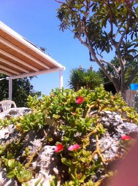 Ferienhaus in Ostuni (Brindisi) oder Ferienwohnung oder Ferienhaus