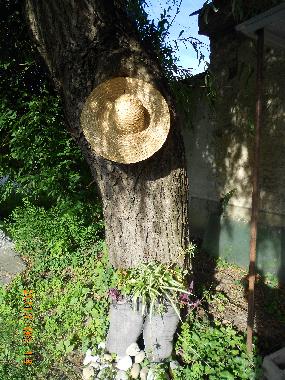 eine Dekoration im Hof