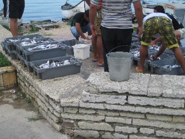 Ferienwohnung in Balchik (Dobrich) oder Ferienwohnung oder Ferienhaus