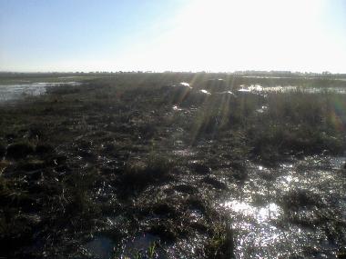 Ferienhaus in Maun (Ngamiland) oder Ferienwohnung oder Ferienhaus