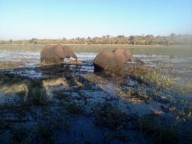 Ferienhaus in Maun (Ngamiland) oder Ferienwohnung oder Ferienhaus