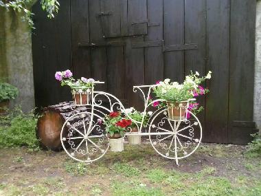 Ferienhaus in Castiglione del Lago (Perugia) oder Ferienwohnung oder Ferienhaus