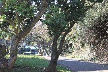 Ferienhaus in Leisure Bay, Munster (KwaZulu-Natal) oder Ferienwohnung oder Ferienhaus