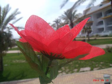 Ferienwohnung in Torreblanca (Castelln / Castell) oder Ferienwohnung oder Ferienhaus