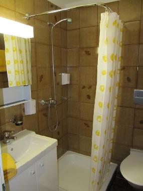 Ferienwohnung in Berg�n/Bravuogn (St. Moritz) oder Ferienwohnung oder Ferienhaus