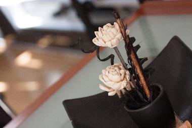 Ferienwohnung in Sibenik (Sibensko-Kninska) oder Ferienwohnung oder Ferienhaus