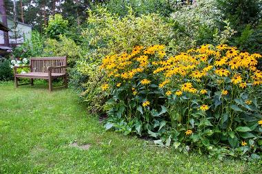 Ferienwohnung in Havelsee (Potsdam-Mittelmark) oder Ferienwohnung oder Ferienhaus