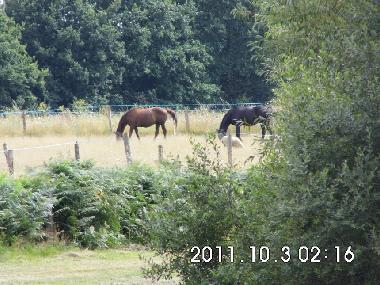 Ferienwohnung in Nouan le Fuzelier (Centre) oder Ferienwohnung oder Ferienhaus
