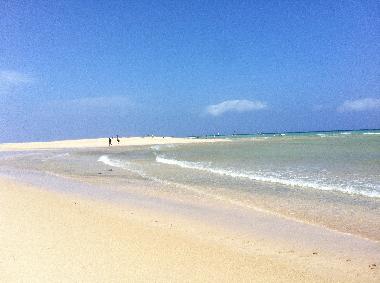 Pension in  (Fuerteventura) oder Ferienwohnung oder Ferienhaus