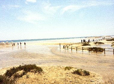 Pension in  (Fuerteventura) oder Ferienwohnung oder Ferienhaus