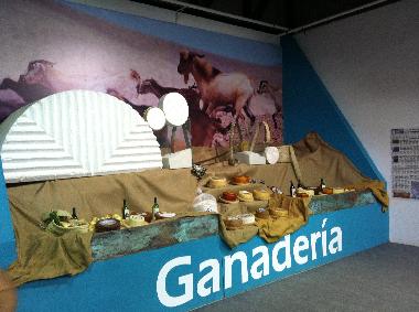 Pension in  (Fuerteventura) oder Ferienwohnung oder Ferienhaus