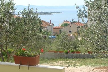 Ferienwohnung in DRAGE (Zadarska) oder Ferienwohnung oder Ferienhaus