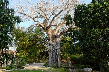 Villa in Kilifi (Coast) oder Ferienwohnung oder Ferienhaus