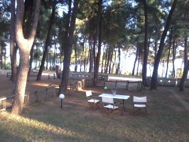 Villa in SANI (Chalkidiki) oder Ferienwohnung oder Ferienhaus