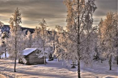 Das Bootshaus am Fluss