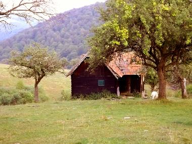 Cozo Fantu, Hirtenh�tte f�r 4 Personen (Casa Vale, Sibiu)