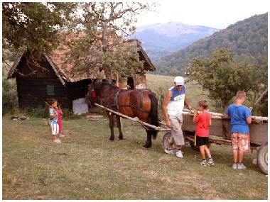 Cozo Fantu, Hirtenh�tte f�r 4 Personen (Casa Vale, Sibiu)