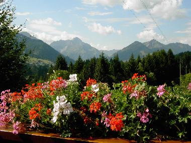 Aussicht Balkon App.Fellhorn 