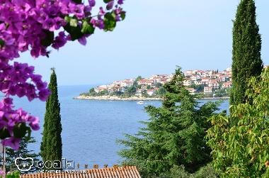 Ferienwohnung in Okrug Gornji (Splitsko-Dalmatinska) oder Ferienwohnung oder Ferienhaus