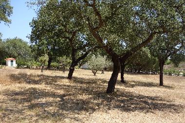 Ferienhaus in Santo Estevo (Grande Lisboa) oder Ferienwohnung oder Ferienhaus