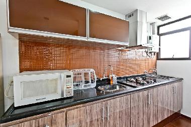 Ferienwohnung in copacabana ipanema (Rio de Janeiro) oder Ferienwohnung oder Ferienhaus