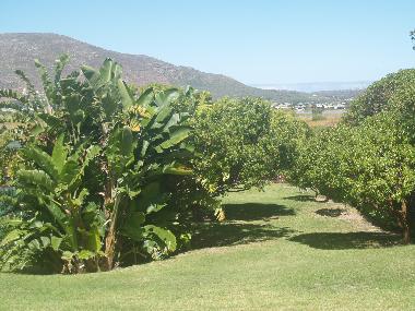 Chalet in Cape Town (Western Cape) oder Ferienwohnung oder Ferienhaus