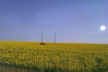 Ferienhaus in Balchik (Dobrich) oder Ferienwohnung oder Ferienhaus